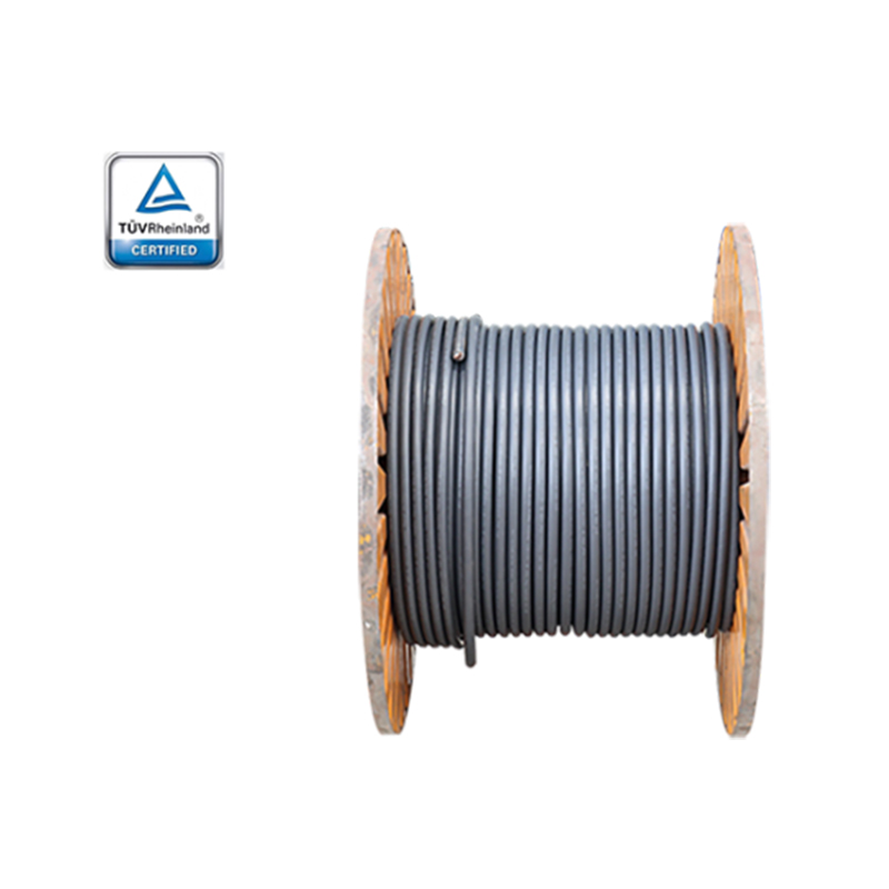 TUV 2 PfG 2693/06.19